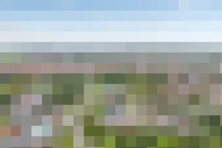 van Gelderplantsoen 36 Kampen thumbnail 23