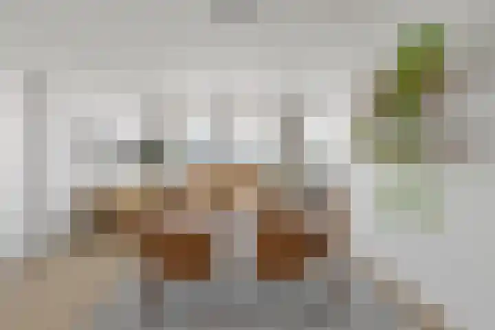 van Gelderplantsoen 36 Kampen thumbnail 5