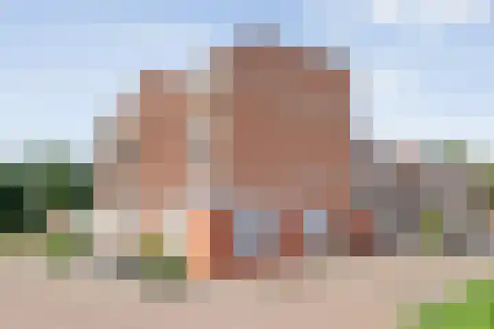 van Gelderplantsoen 37 Kampen thumbnail 19