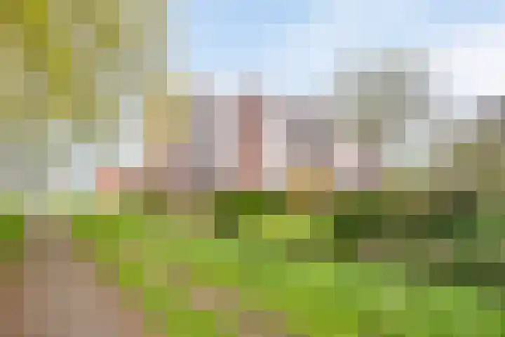 van Gelderplantsoen 37 Kampen thumbnail 20