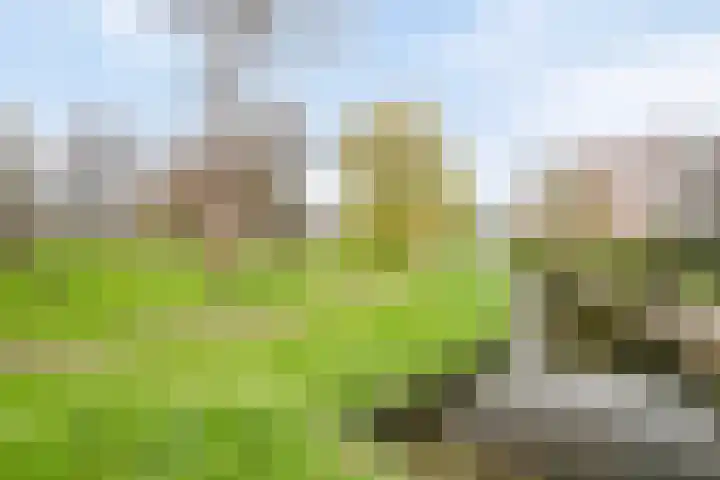 van Gelderplantsoen 37 Kampen thumbnail 21