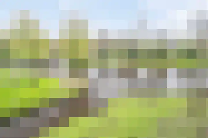 van Gelderplantsoen 37 Kampen thumbnail 22