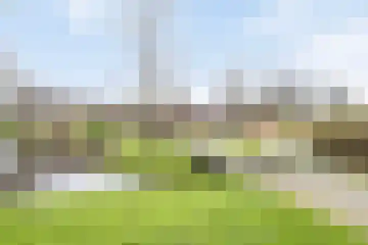 van Gelderplantsoen 37 Kampen thumbnail 23