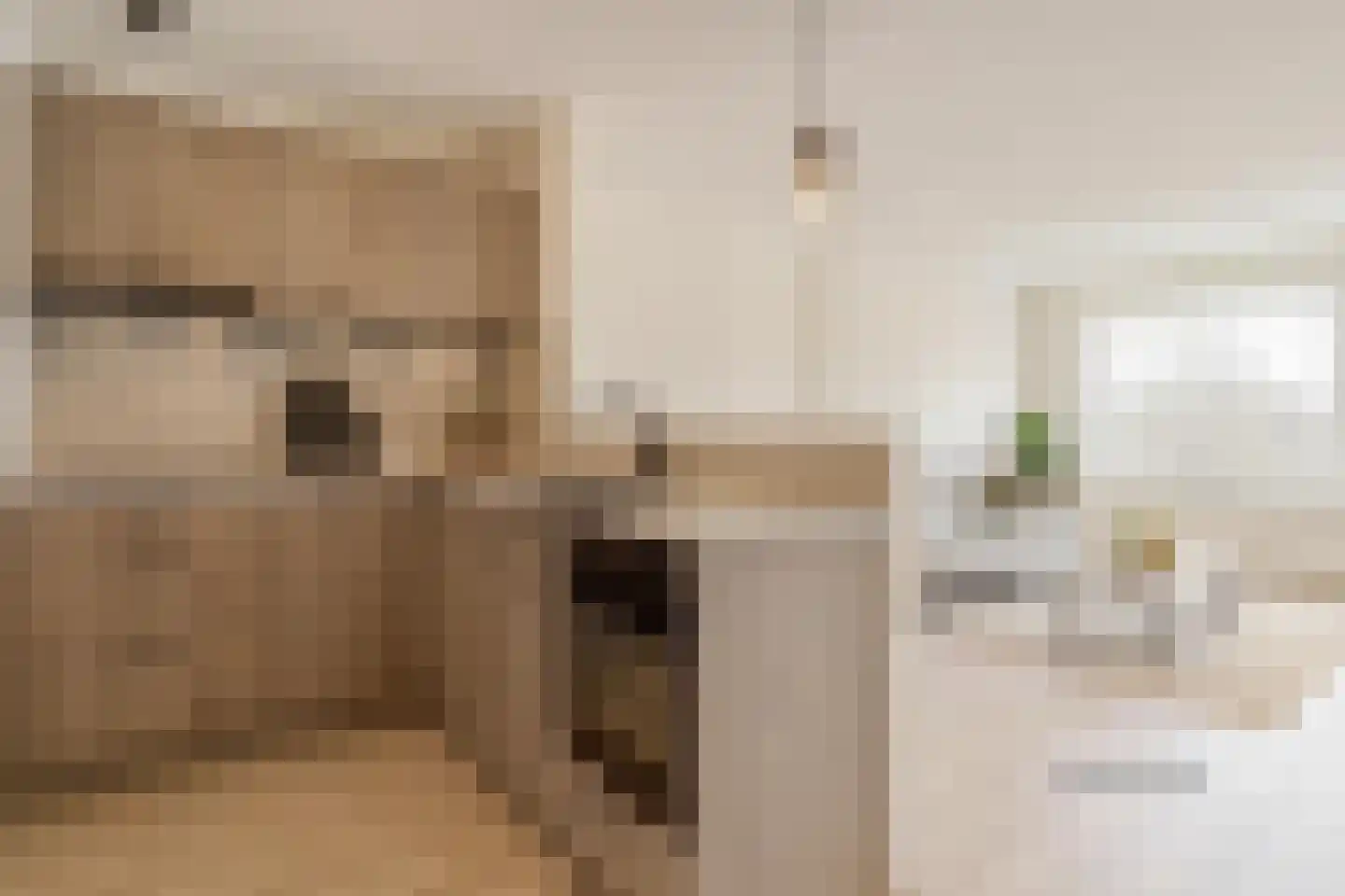 van Gelderplantsoen 40 Kampen thumbnail 7