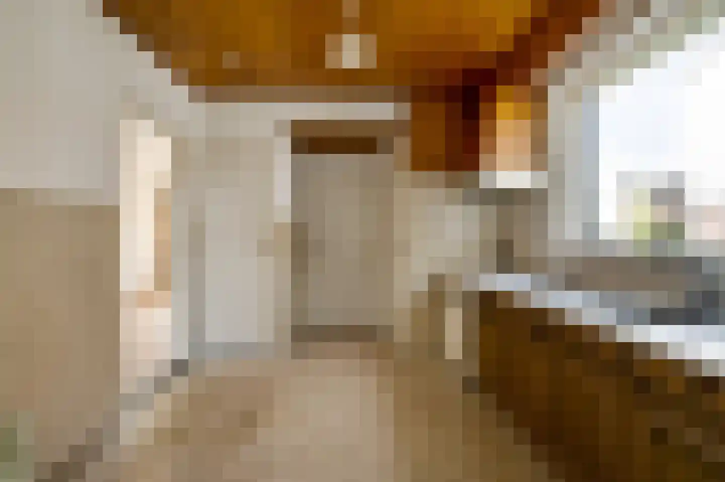 van Gelderstraat 10 Wessem thumbnail 13