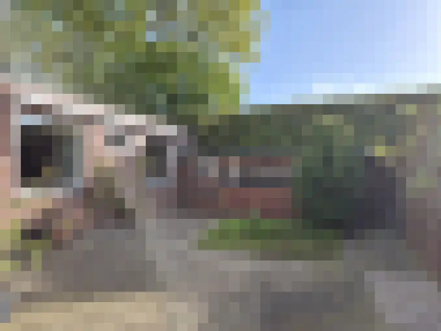 van Gelderstraat 10 Wessem thumbnail 18