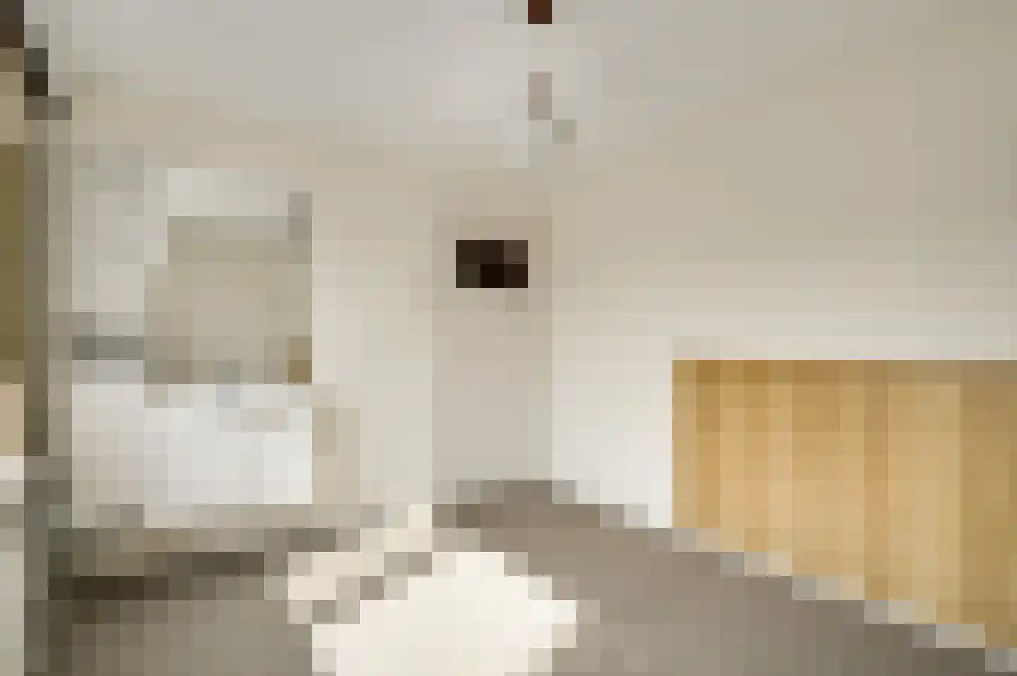 van Gelderstraat 10 Wessem thumbnail 27