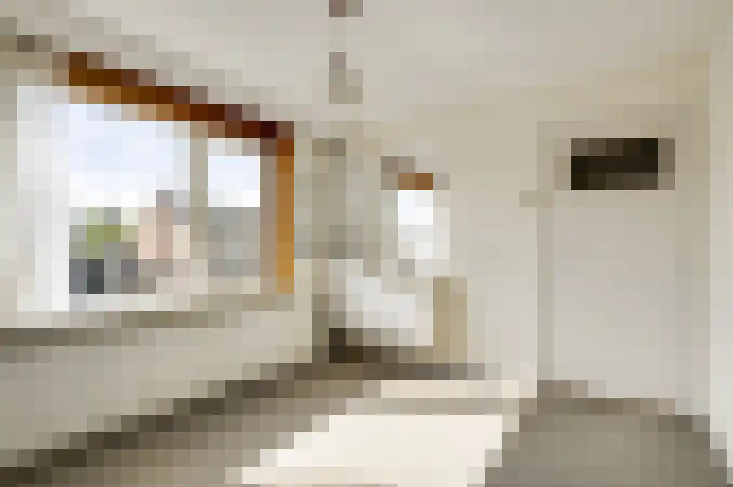 van Gelderstraat 10 Wessem thumbnail 28