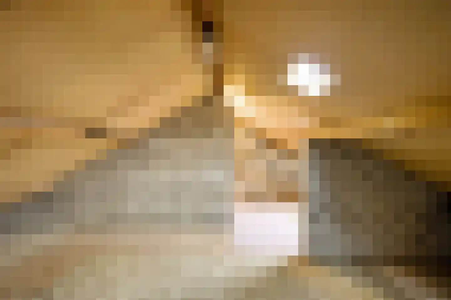 van Gelderstraat 10 Wessem thumbnail 35