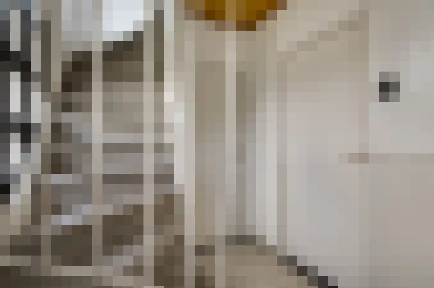 van Gelderstraat 10 Wessem thumbnail 7