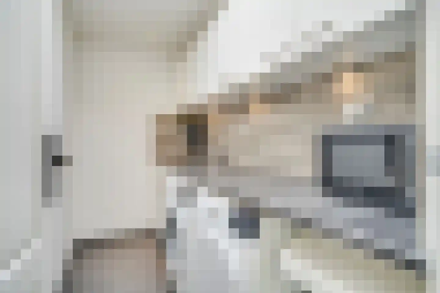 van Gelderstraat 13 Wessem thumbnail 12