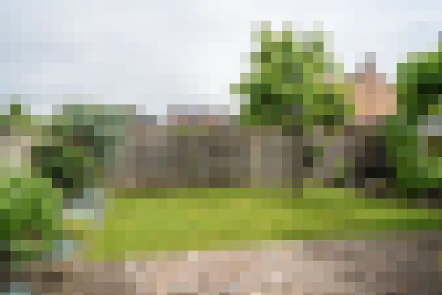 van Gelderstraat 13 Wessem thumbnail 17