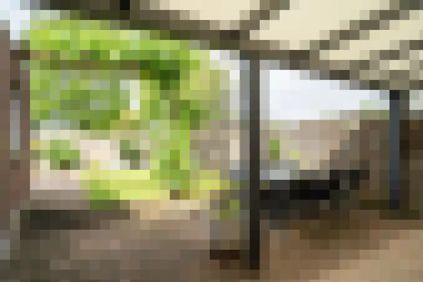 van Gelderstraat 13 Wessem thumbnail 5