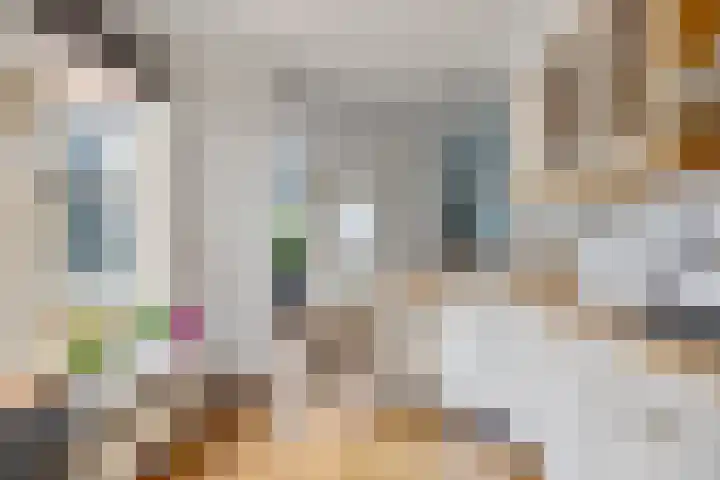 van Gelderstraat 2 Terborg thumbnail 14