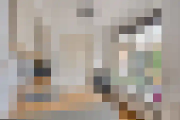 van Gelderstraat 2 Terborg thumbnail 15