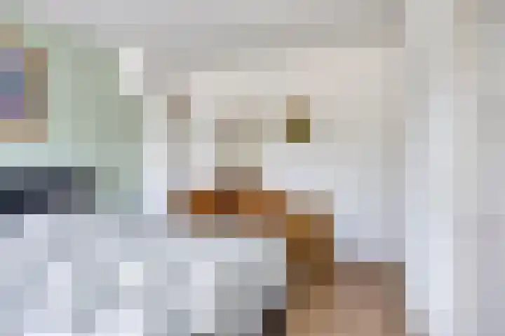 van Gelderstraat 2 Terborg thumbnail 20