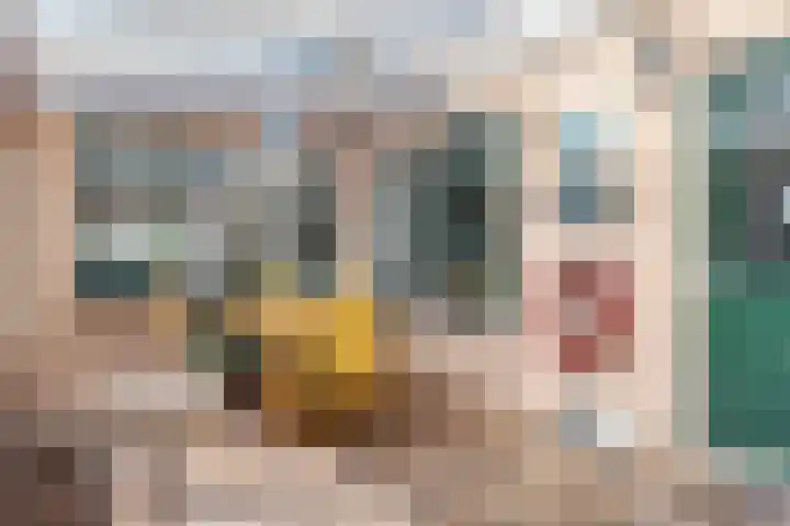 van Gelderstraat 2 Terborg thumbnail 26