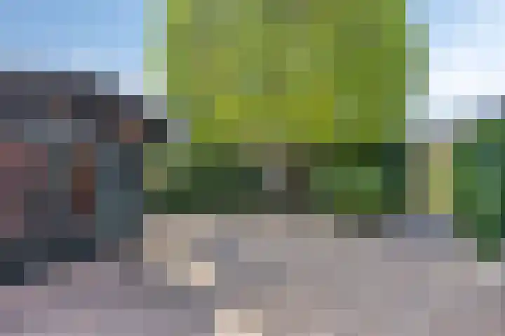 van Gelderstraat 2 Terborg thumbnail 31