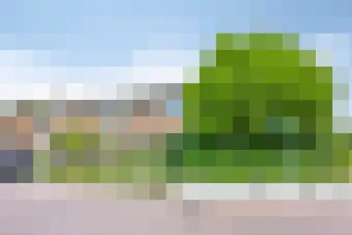 van Gelderstraat 2 Terborg thumbnail 35