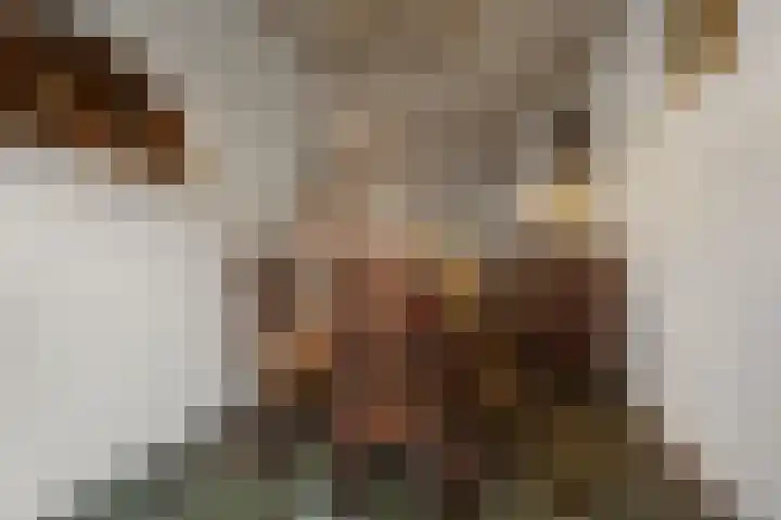 Van Genderenstraat 14 Alphen aan den Rijn thumbnail 7