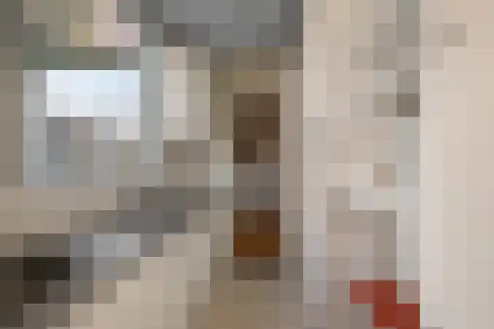 Van Genderenstraat 20 Alphen aan den Rijn thumbnail 7