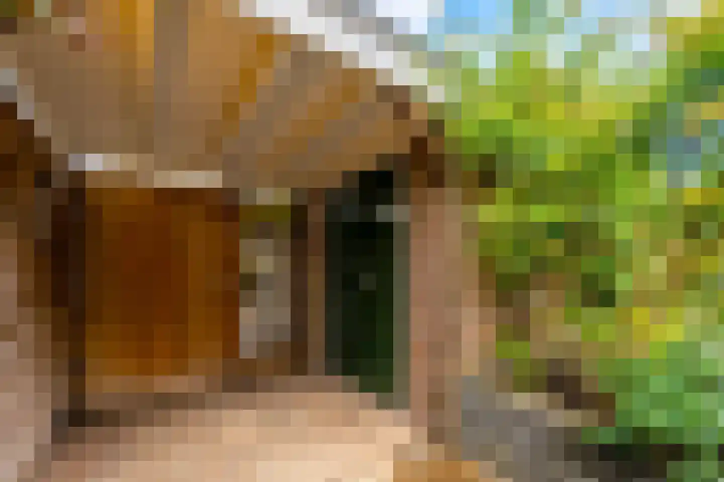 Van Gendtlaan 8 Woudenberg thumbnail 32