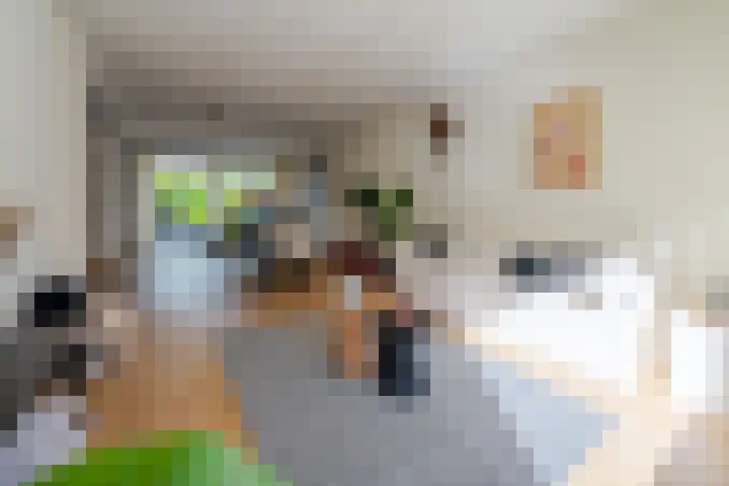 Van Gendtlaan 8 Woudenberg thumbnail 5