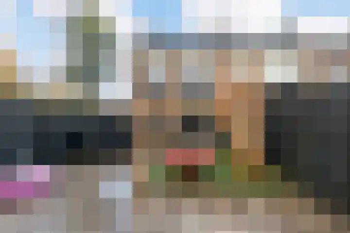 Van Gendtstraat 11 Dordrecht thumbnail 19