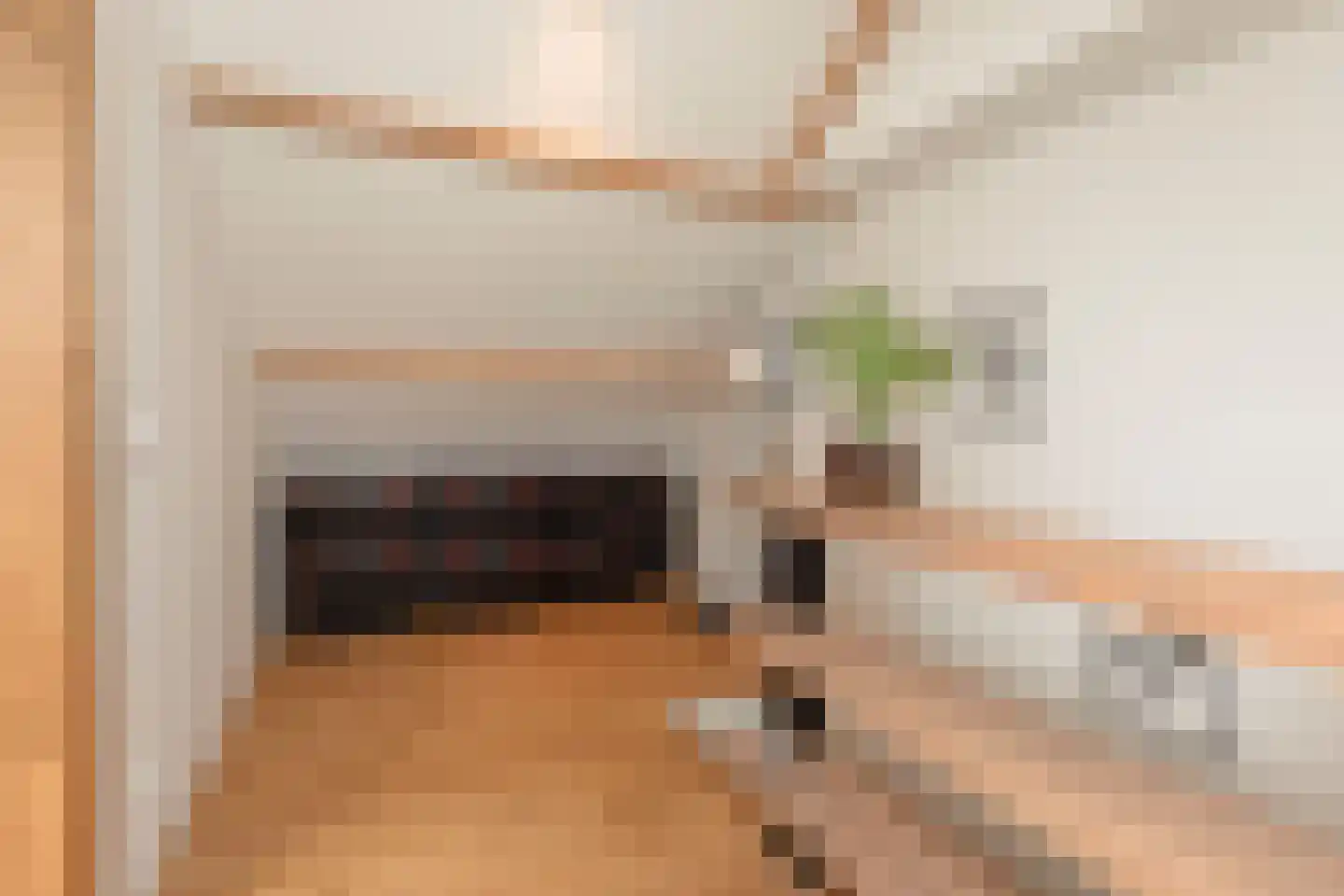 Van Gendtstraat 29 Dordrecht thumbnail 29