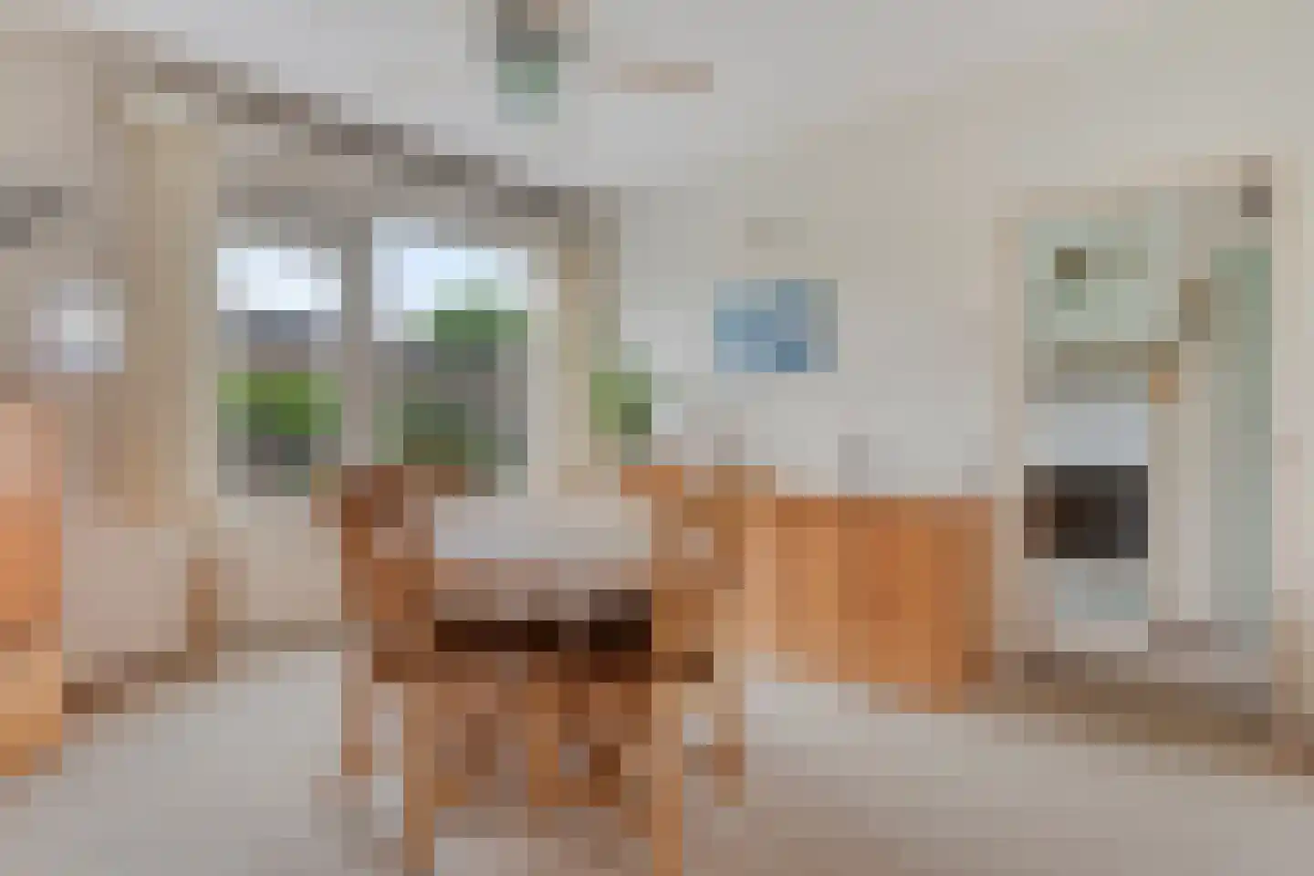 Van Genkstraat 57 Etten-Leur thumbnail 8