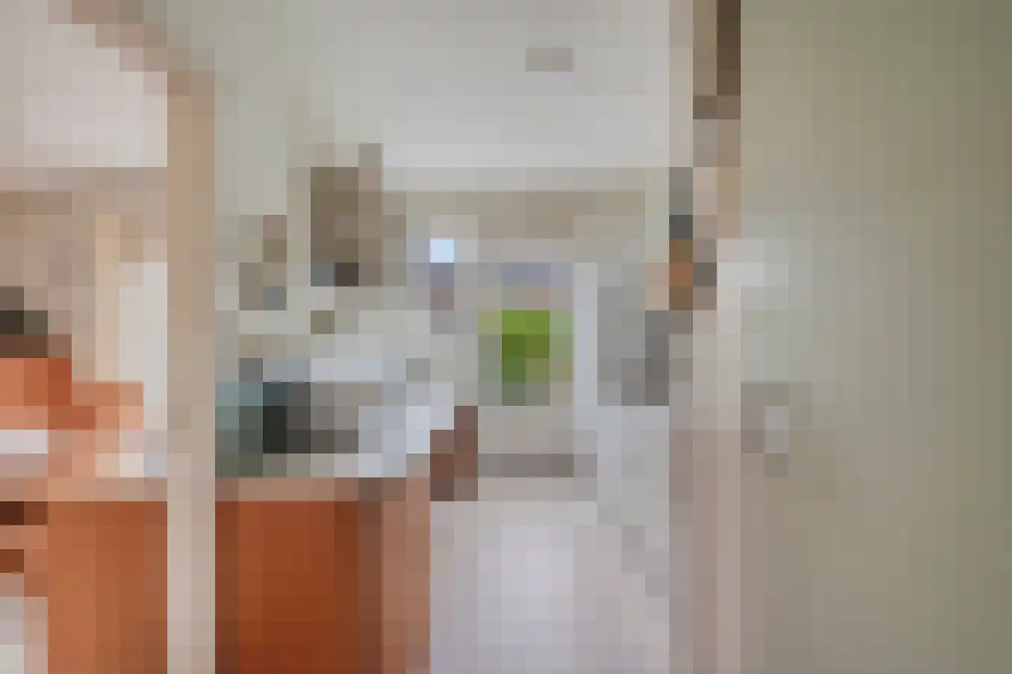 Van Genkstraat 57 Etten-Leur thumbnail 9