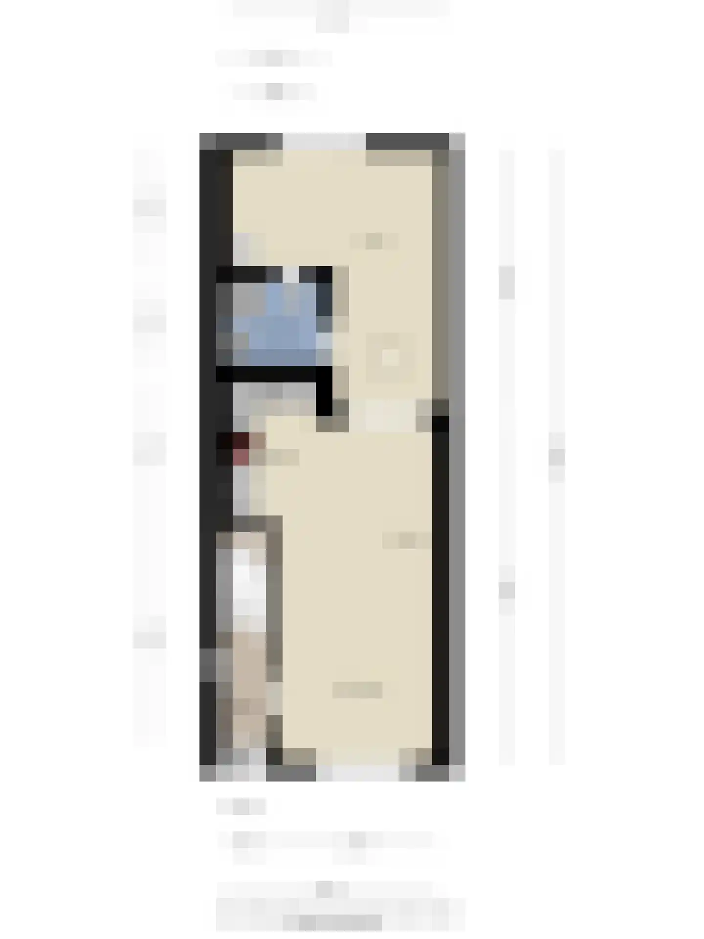 van Gennipstraat 13 Geldrop thumbnail 22