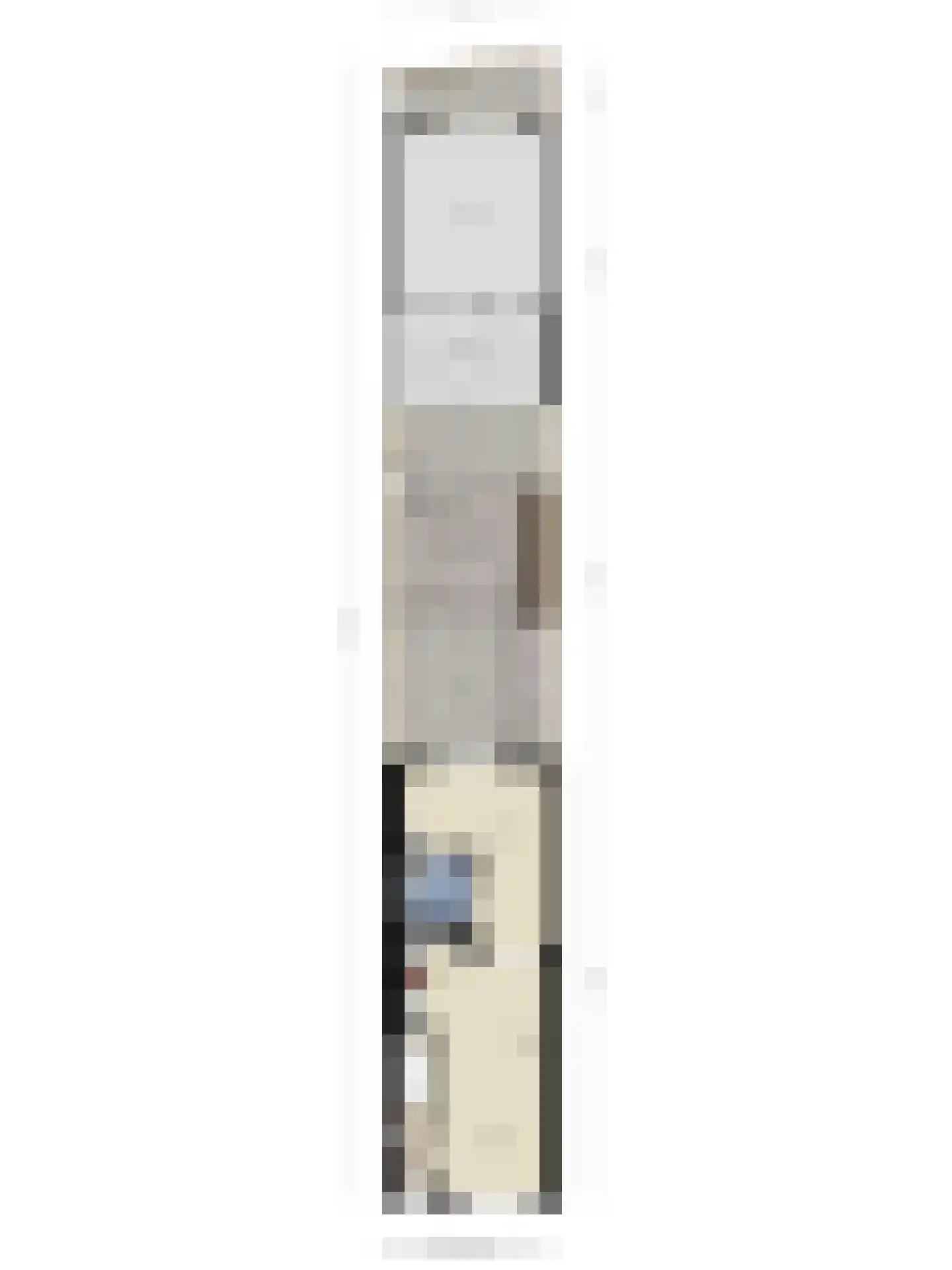 van Gennipstraat 13 Geldrop thumbnail 26