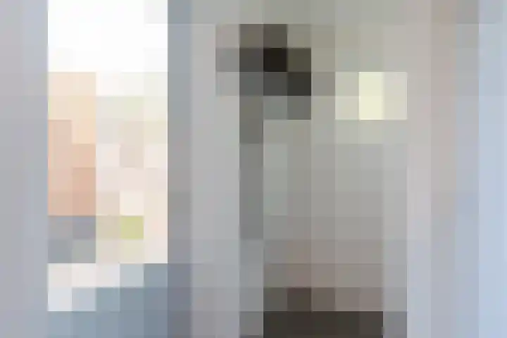 van Gennipstraat 8 Geldrop thumbnail 20