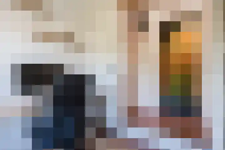 van Gennipstraat 8 Geldrop thumbnail 28
