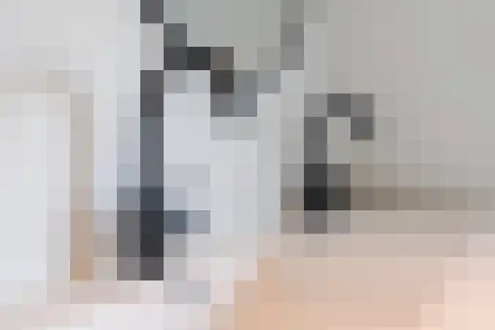 van Gennipstraat 8 Geldrop thumbnail 30