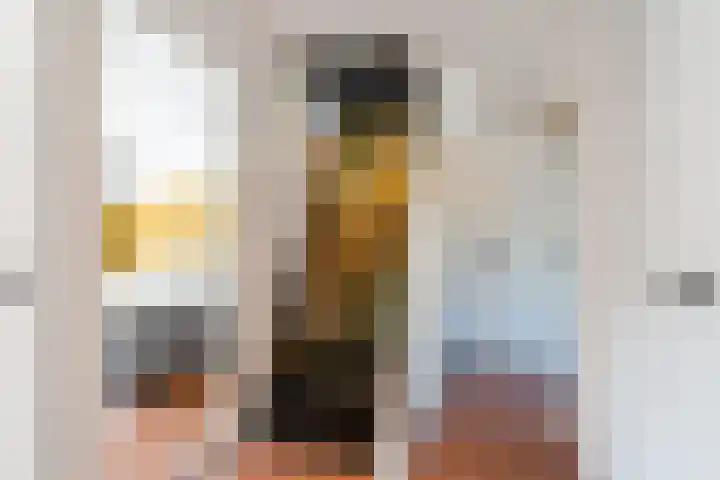 van Gennipstraat 8 Geldrop thumbnail 34