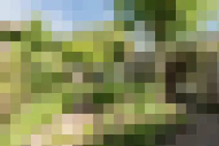van Gennipstraat 8 Geldrop thumbnail 38