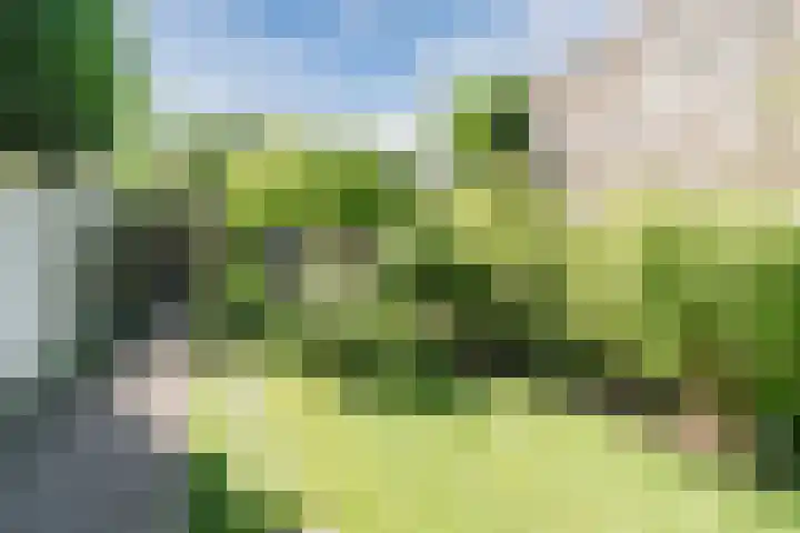 van Gennipstraat 8 Geldrop thumbnail 43