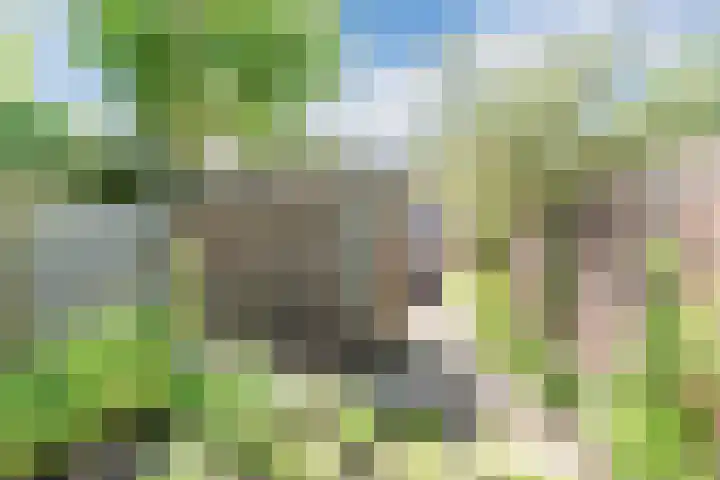 van Gennipstraat 8 Geldrop thumbnail 44