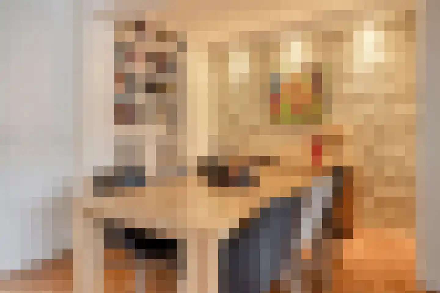 van Gentlaan 39 Son en Breugel thumbnail 12