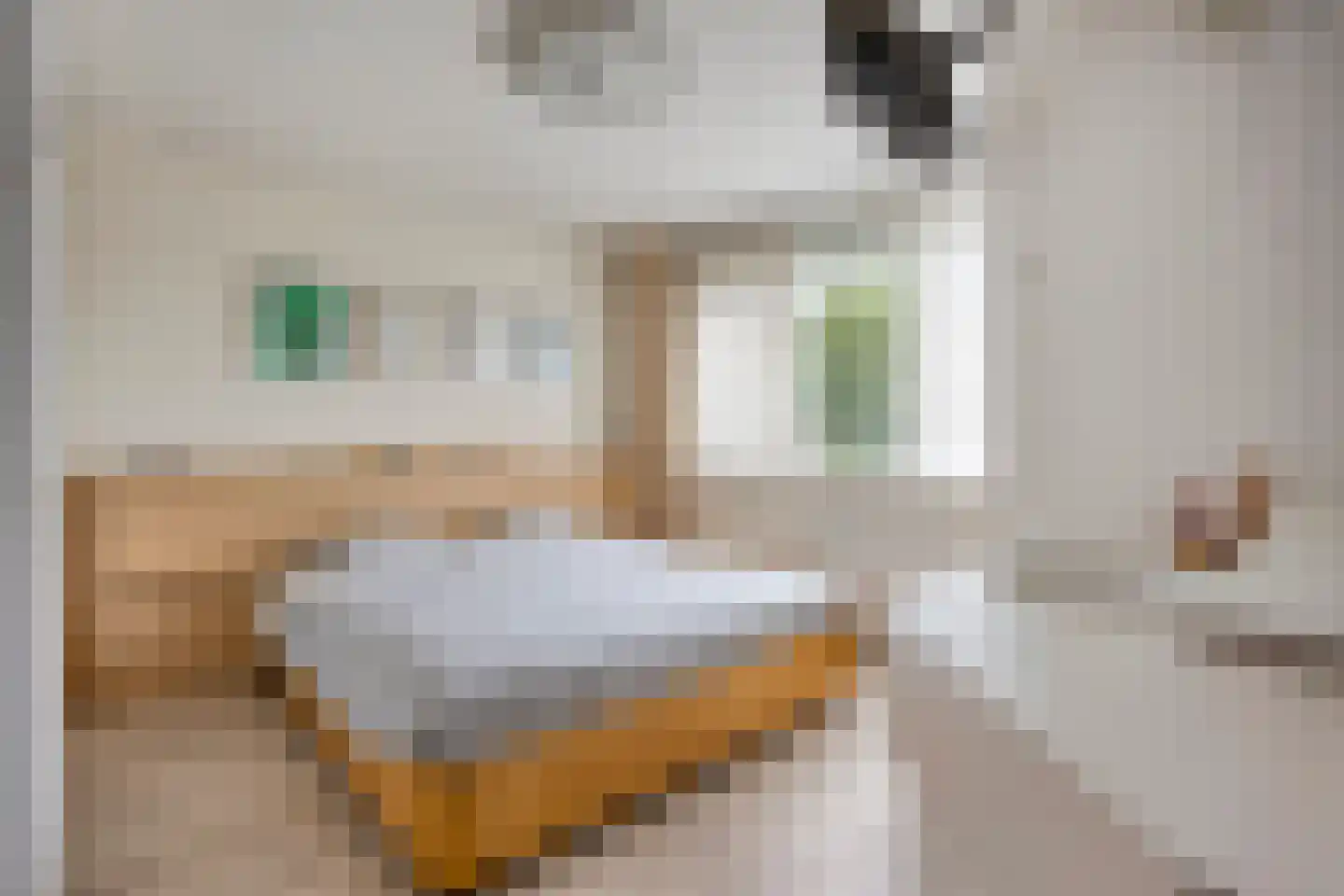 van Gentlaan 39 Son en Breugel thumbnail 22