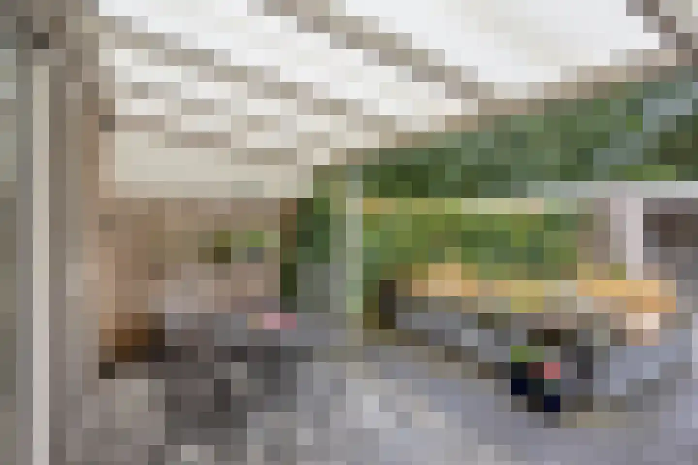 van Gentlaan 39 Son en Breugel thumbnail 34