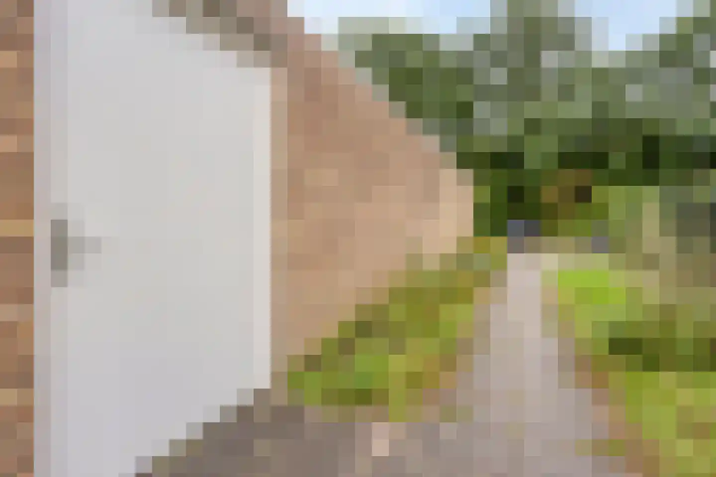van Gentlaan 39 Son en Breugel thumbnail 42