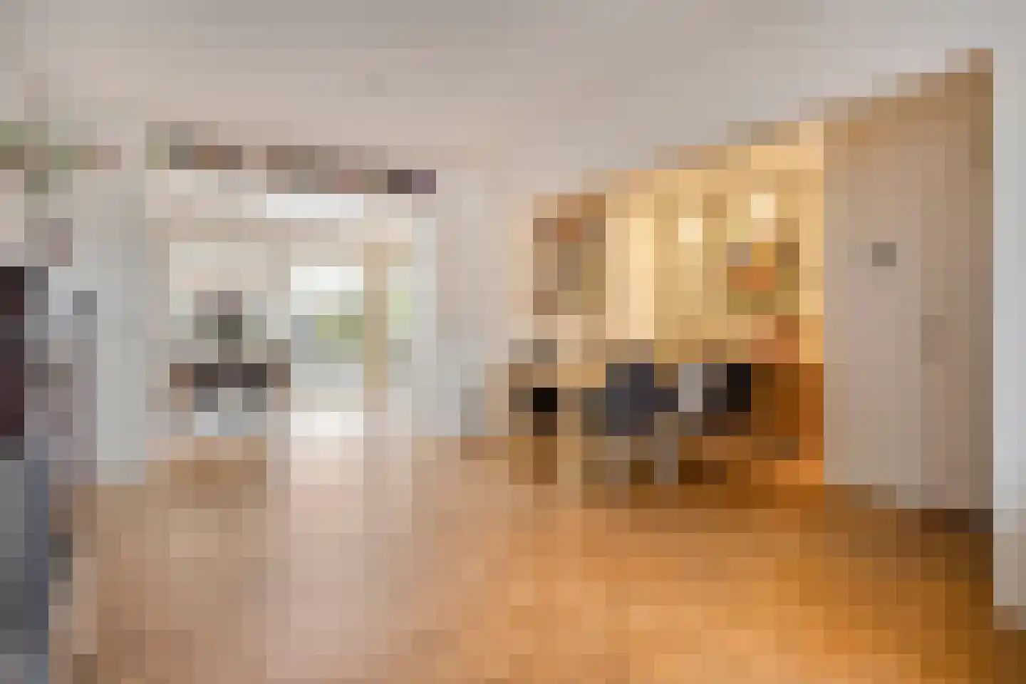 van Gentlaan 39 Son en Breugel thumbnail 7