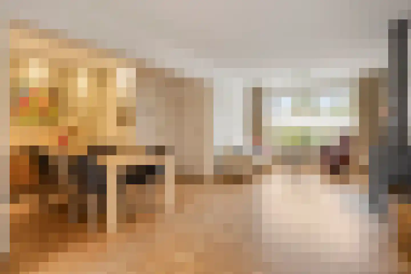 van Gentlaan 39 Son en Breugel thumbnail 8