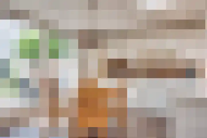 van Gentlaan 45 Son en Breugel thumbnail 17