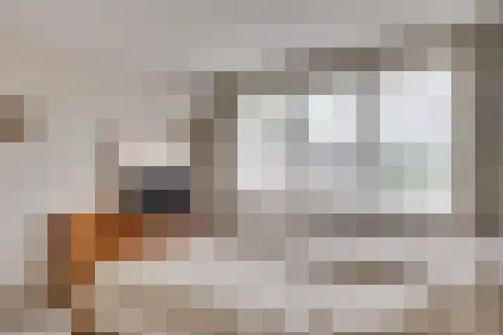 van Gentlaan 45 Son en Breugel thumbnail 23
