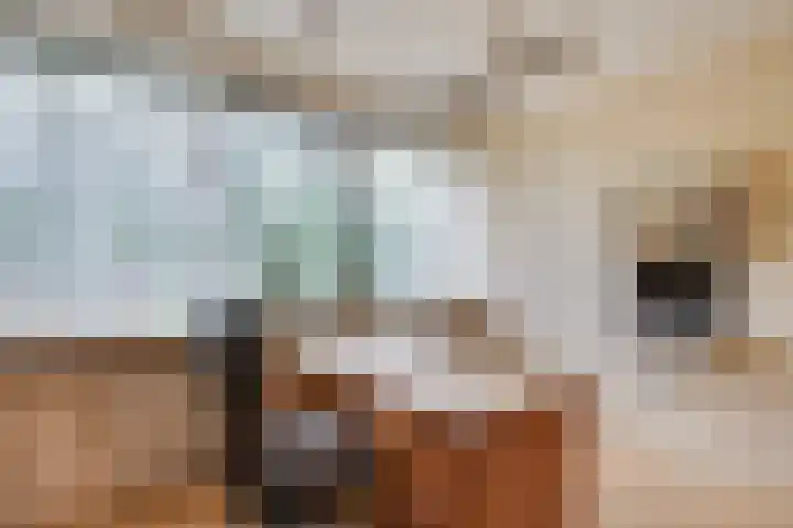 van Gentlaan 45 Son en Breugel thumbnail 28