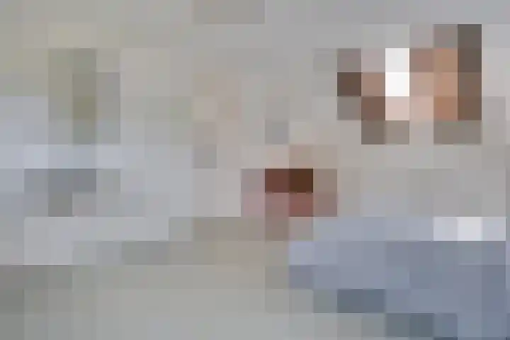 van Gentlaan 45 Son en Breugel thumbnail 32